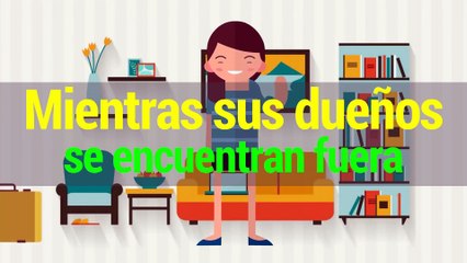 Negocios | Esta app cuidará a tus mascotas en tu ausencia