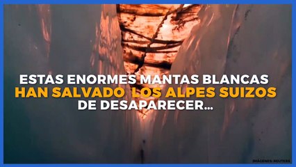 Internacional | Cubren con mantas blancas los glaciares de los Alpes