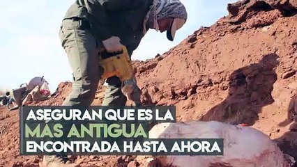 Tecnología y Ciencia | Descubren dinosaurio gigante de más de 200 millones de años