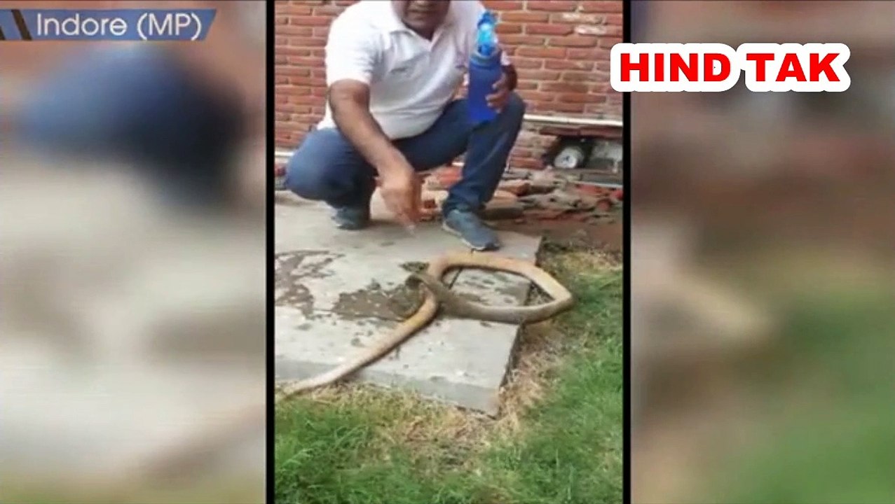 A Wildlife Activist Rescued and saved a life of a snake in MP’s Indore. #Wildlife  #Rescued #Animal