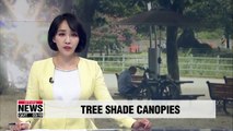 Seoul City to erect 400 tree shade canopies by 2022