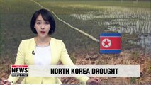 Facing drought, N. Korea's agriculture institute urges people to secure water, finish rice planting quickly