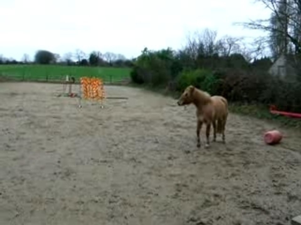 Nayade au gallop