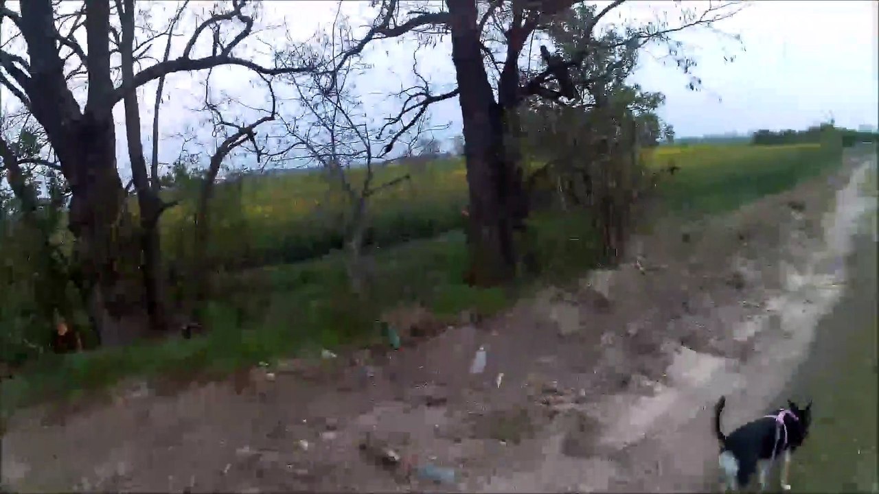 Run pull up Stella on Bicycle Malinovo May 2019