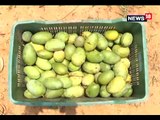 ओलावृष्टि से सब्जी और आम की फसल तबाह, किसानों को सरकार से मदद की उम्मीद-Vegetable and mangoes harvest damage from hail, farmers need to help government