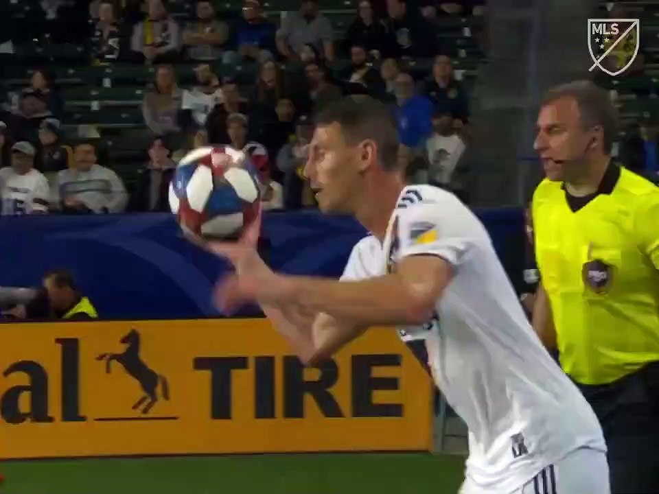 Quel but de Zlatan Ibrahimovic !