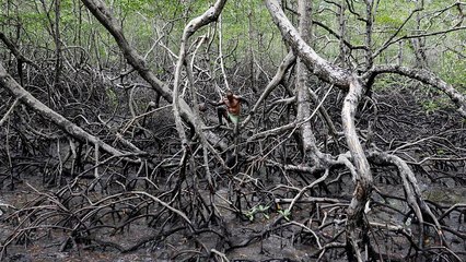 I-React: Καιρός να εκσυγχρονιστεί η αντιμετώπιση φυσικών καταστροφών