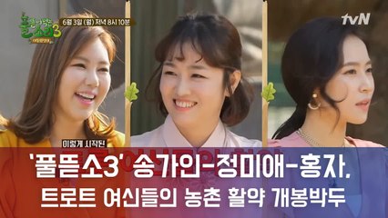 미스트롯 톱3 송가인x정미애x홍자 '풀뜯소3'에 뜬다! 트로트 여신들의 활약 기대 UP!