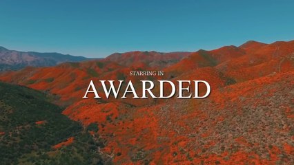 Casey Veggies "Awarded"