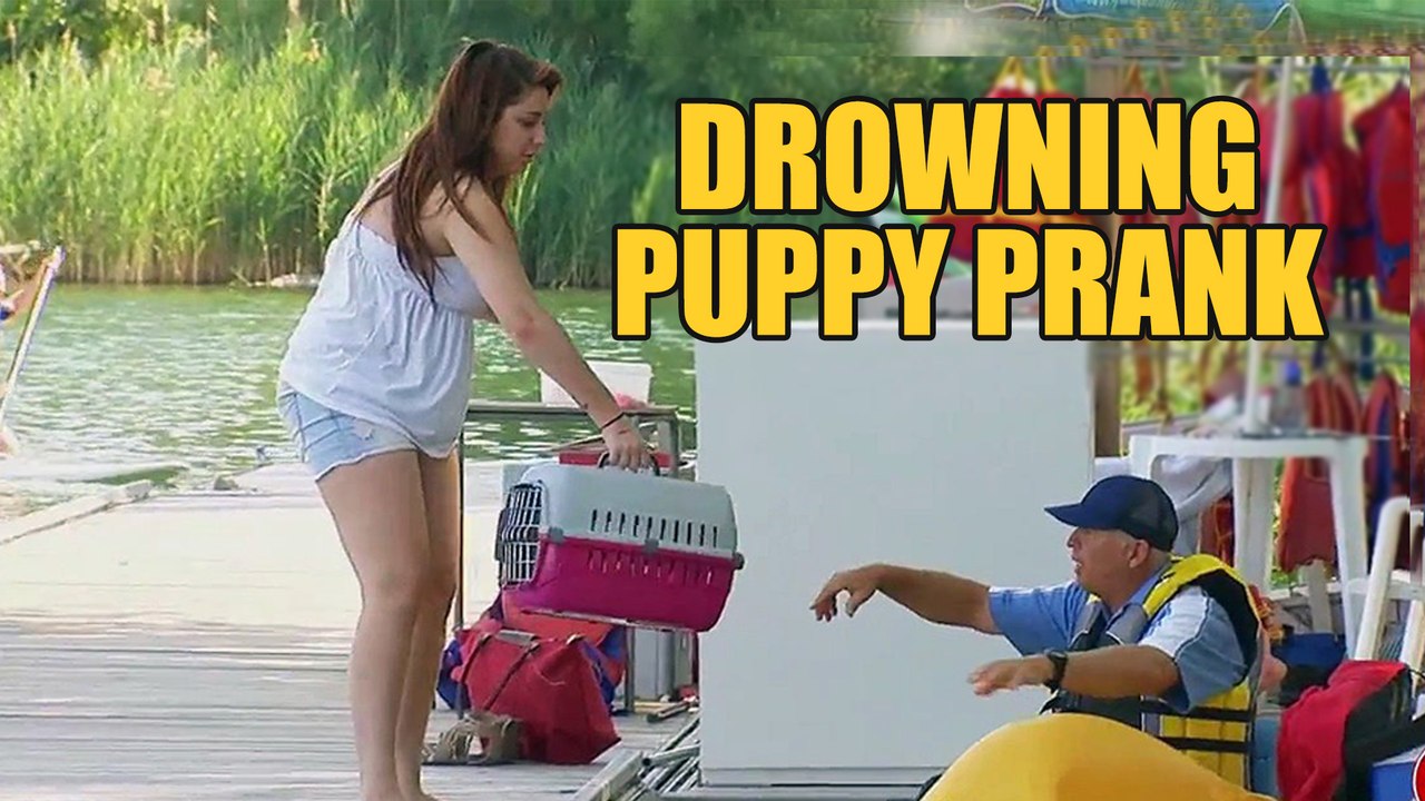 Drowning Puppy Prank
