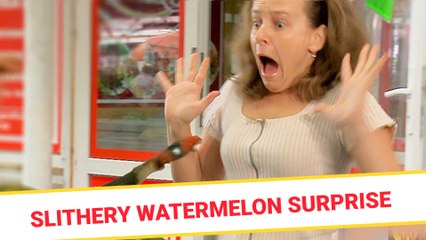 Slithery Watermelon Surprise
