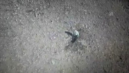Jandarmaya ait "drone"u taşlayan defineci yakalandı