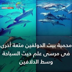 شاهد.. العيد في مرسى علم.. رياضات مائية وطبيعة صافية