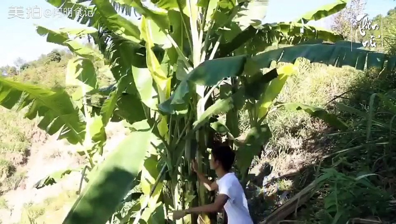 A Minh