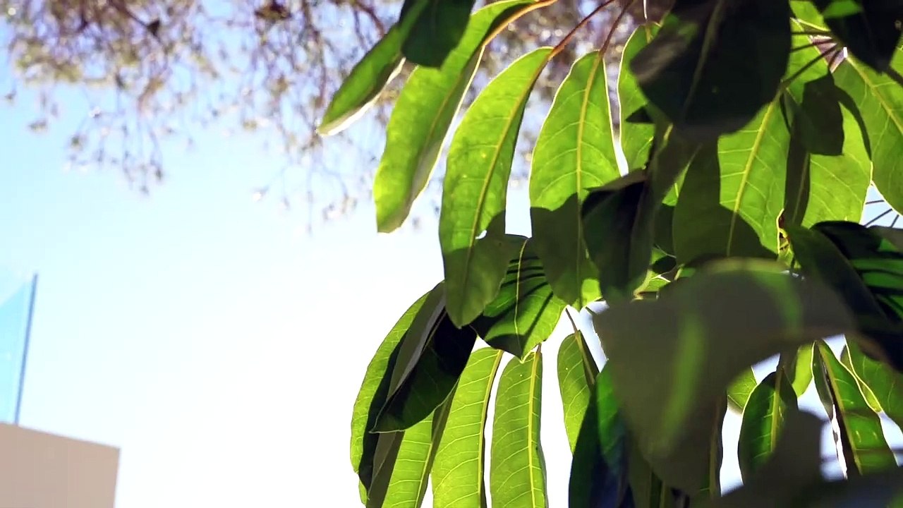 New Build Luxury Villa in Jávea - Costa Blanca