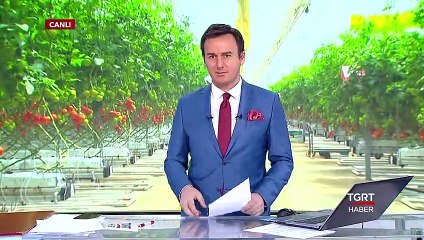 Domates Fiyatları Bir Yıl Boyunca Sabitlenecek