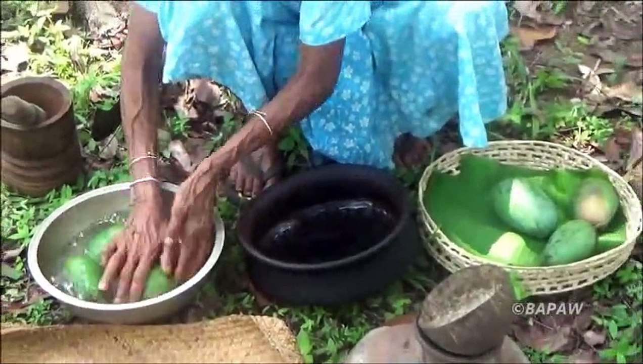 Sain Village des Aliments - Cuisson à la Mangue Curry dans mon Village par la grand-mère
