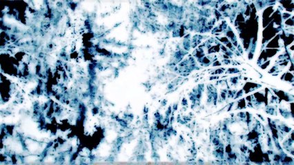 Coldplay 'Midnight' Kaiser Gayser's Midday Edit