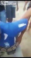 Horrible : il joue avec un serpent qui le mord au nez !