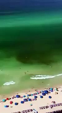 Ce nageur est approché par un requin en pleine natation !