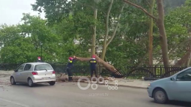 RTV Ora - Moti i keq rrëzon pemën në Berat, bllokohet për disa minuta rruga
