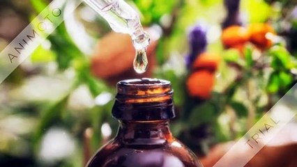 Essential Cbd Extract Olja