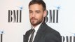 Liam Payne: 'One Direction's success was dumb luck'