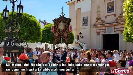 La hermandad del Rocío de Tocina ha iniciado este domingo su camino hasta la aldea almonteña