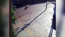 Vídeo mostra mulher sendo atropelada na Rua Itália