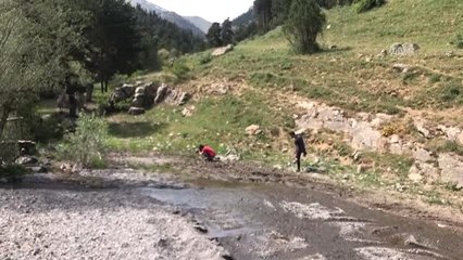 Kelebeklerin görsel şöleni fotoğrafçıların ilgi odağı