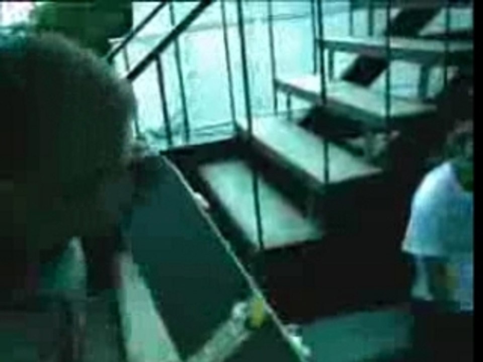 The Mad Capsule Markets - Midi Surf