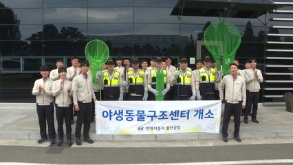 [울산] 현대차, '야생동물구조센터' 운영 / YTN