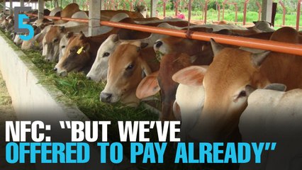 EVENING 5: NFC questions need for suit