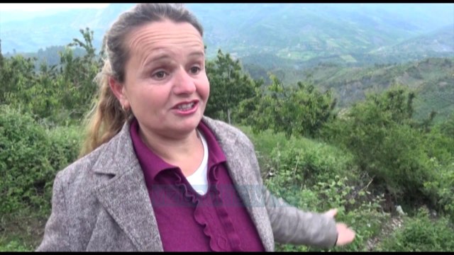 Elbasan, reshjet e dendura të shiut dëme të mëdha në bujqësi - News, Lajme - Vizion Plus