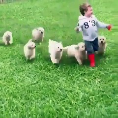 Cet enfant est littéralement dans le paradis sur terre ! Admirez !
