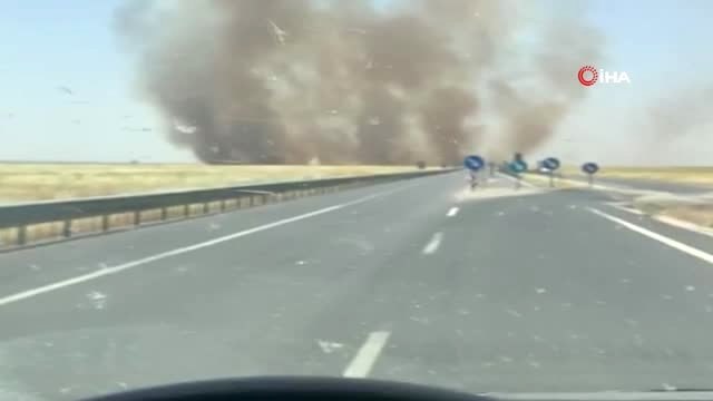 Mayınlı sahada çıkan yangın buğday tarlalarına sıçradı