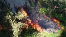 Pendik'teki Aydos ormanlarında yangın çıktı. İtfaiye yangına müdahale etmek için yoğun çaba sarfediyor.