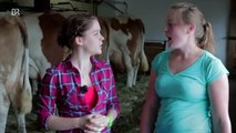 Kühe mit der Hand melken | Anleitung mit der Kathi | Dahoam in Bayern