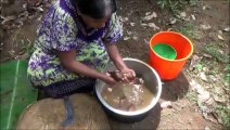 Village des Aliments - Cuisson de Manioc (cassave) curry dans mon Village par ma Maman