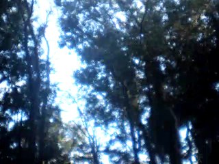 mit tanzen und mit springen