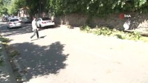 Seyir halindeki aracın üzerine ağaç ve direk devrildi, 2 yaşındaki çocuk ve ailesi ölümden döndü