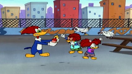 El Pajaro Loco en Español | Un Profesional Patinado | Dibujos Animados | Caricaturas para Niños