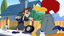 El Pajaro Loco en Español | Meany Mecánica | Dibujos Animados en Español
