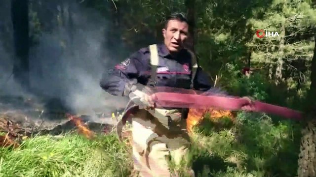 Aydos Ormanı'ndan alevler yükseliyor