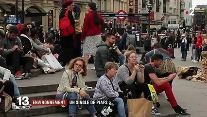 Royaume-Uni : le carton d'un single à base de chants d'oiseaux