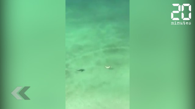 C'était le pire moment de sa vie - Le Rewind du Lundi 03 Juin 2019