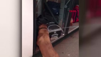 Ankara'da araç motoru ve meyve suyu kutusunda uyuşturucu bulundu