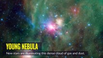 Stars of Cepheus as Seen by NASAs Spitzer Space Telescope