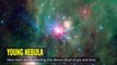 Stars of Cepheus as Seen by NASAs Spitzer Space Telescope