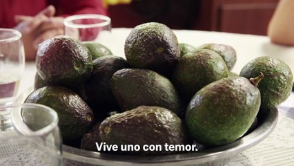 "Mujeres Guerreras", del estado de Guerrero (México). MSF